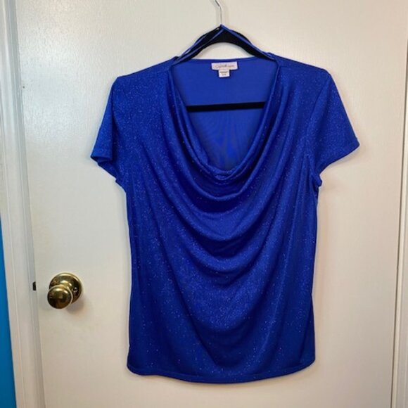 Jaclyn Smith Tops - Jaclyn Smith Royal Blue Sheer skarkly Blouse